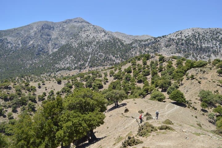 Rouvas Gorge Trek from Lake Zaros: A Private Day Hike Through Crete’s Holly Forest