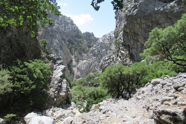 Rouvas Gorge Trek from Lake Zaros: A Private Day Hike Through Crete’s Holly Forest photo 6