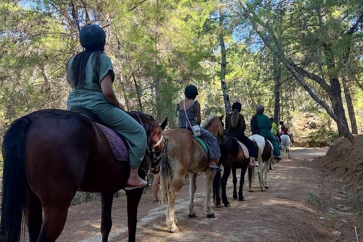 Taurus Mountains Horseback Ride: Alanya Village, Forest Trails & Mediterranean Views photo 2