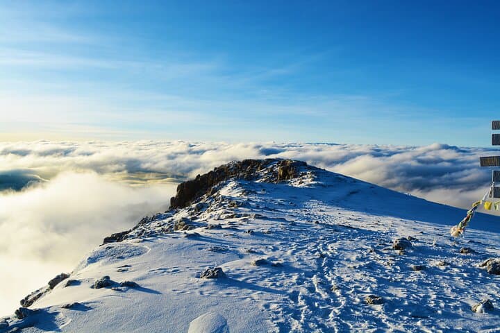 Kilimanjaro Lemosho Route: 8-Day Summit Expedition photo 6