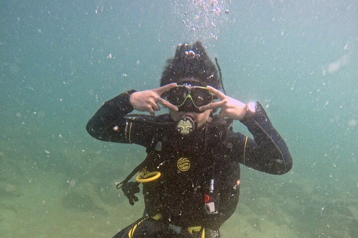 Beginner Scuba Dive Experience in Dubai: Shallow Reef & Seahorse Encounter photo 5