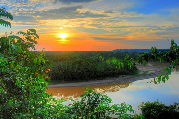 7-Day Manu Reserved Zone Amazon Tour — Treehouse Inn & Wildlife Encounters