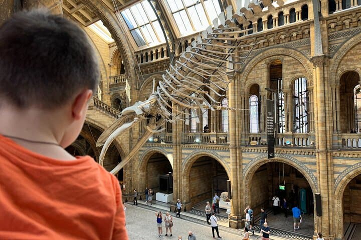 Kid-Friendly Natural History Museum & Dinosaur Highlights Private Tour London