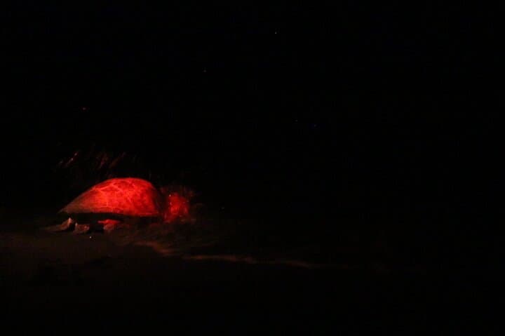 Night Turtle Nesting Tour in Tortuguero: What to Expect photo 6