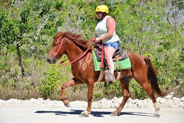 Horseback Riding on Punta Cana Beaches: Guided Beach Ride with Coconut Stop photo 3