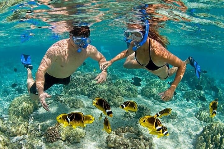 Punta Cana Private Speed Boat and Snorkeling Adventure photo 3