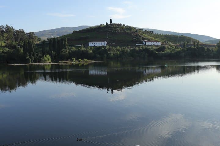 Douro Valley Private Full-Day Tour: 3 Wineries & Casal de Loivos Viewpoint photo 5