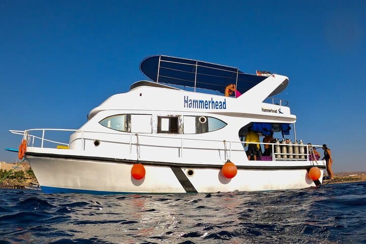 Aqaba Boat Dive: Guided Wreck and Reef Dives with Lunch