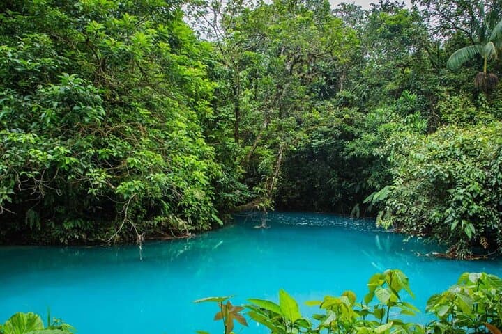 Hike Rio Celeste Waterfall & Tenorio Volcano: El Teñidero’s Turquoise River photo 5