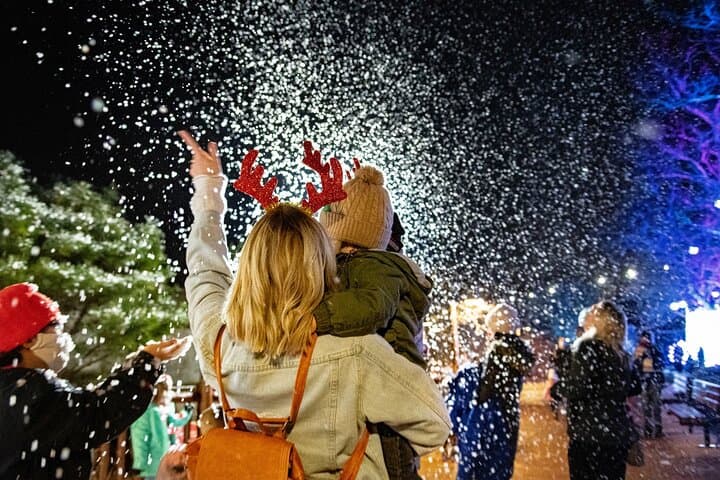 Winter City Lights Washington DC: 1.5-Mile Holiday Light Trail & Snow Tubing