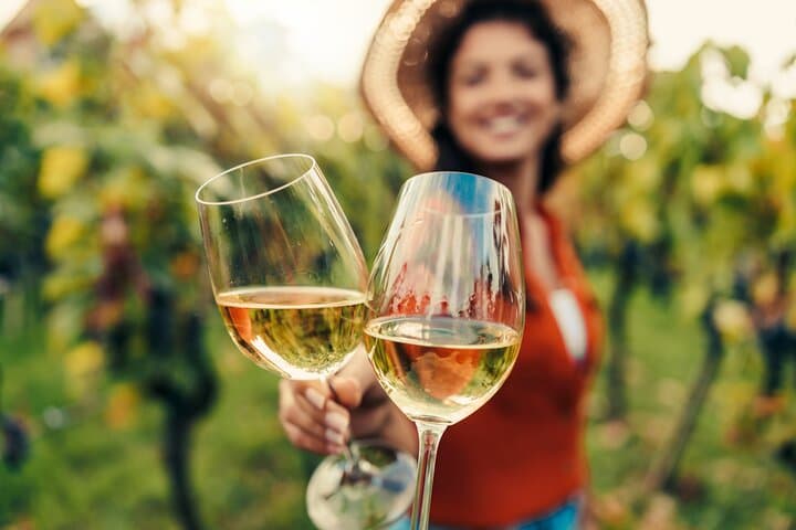 Napa & Sonoma Wine Tour from San Francisco: Full-Day Tastings and Scenic Valley Drives