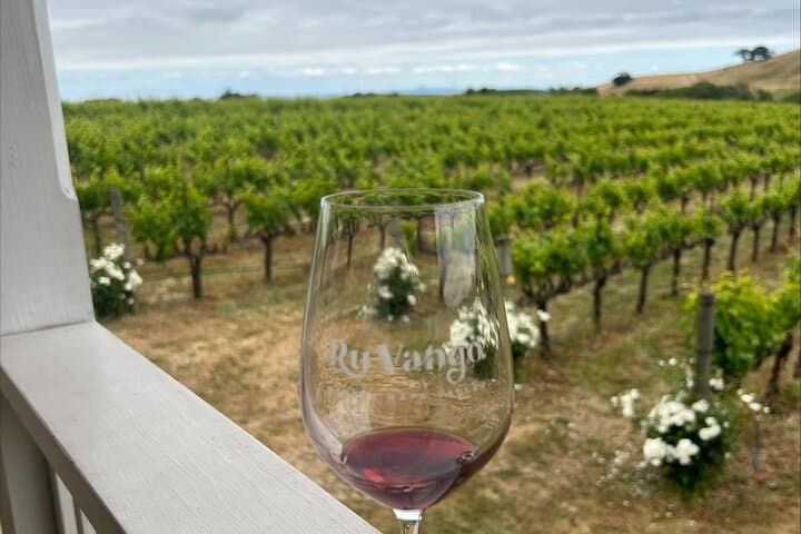 Napa & Sonoma Wine Tour from San Francisco: Full-Day Tastings and Scenic Valley Drives photo 5