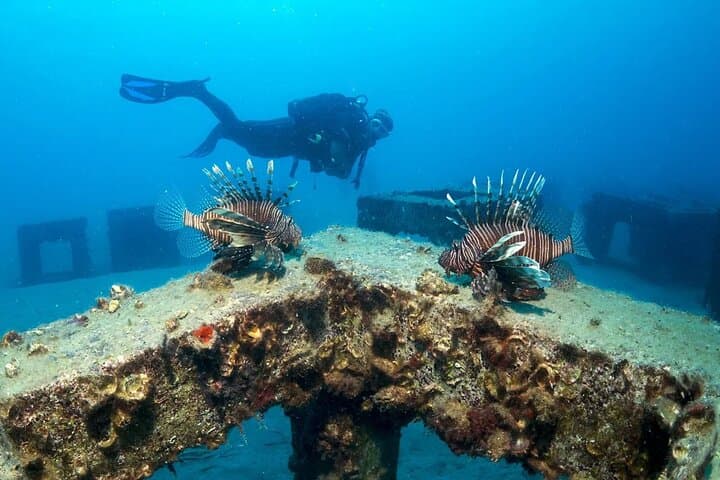 Alanya Scuba Diving: Mediterranean Sea Caves & Beginner-Friendly Dives