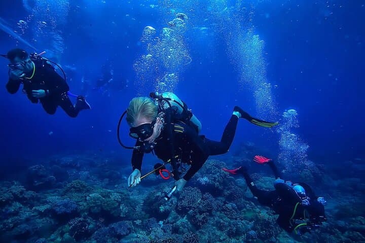 Alanya Scuba Diving: Mediterranean Sea Caves & Beginner-Friendly Dives photo 6