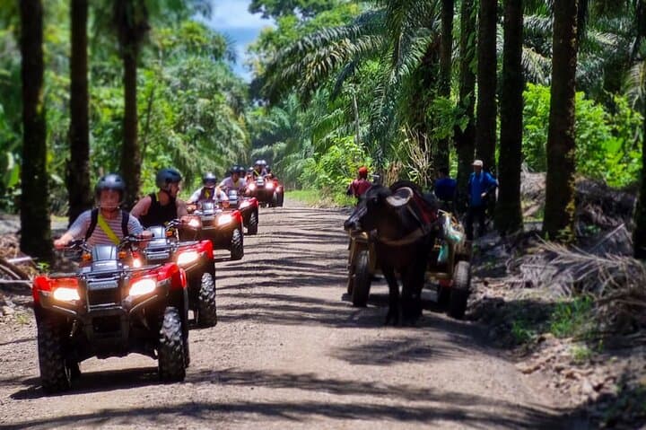 Manuel Antonio ATV & Rainmaker Waterfalls: Off-Road Rainforest Adventure photo 6