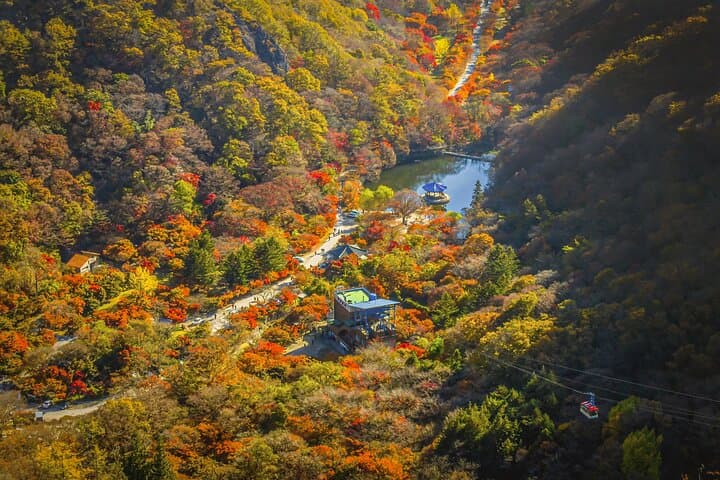 Naejangsan Fall Foliage Day Trip from Seoul (Busan Drop-off Option) photo 5