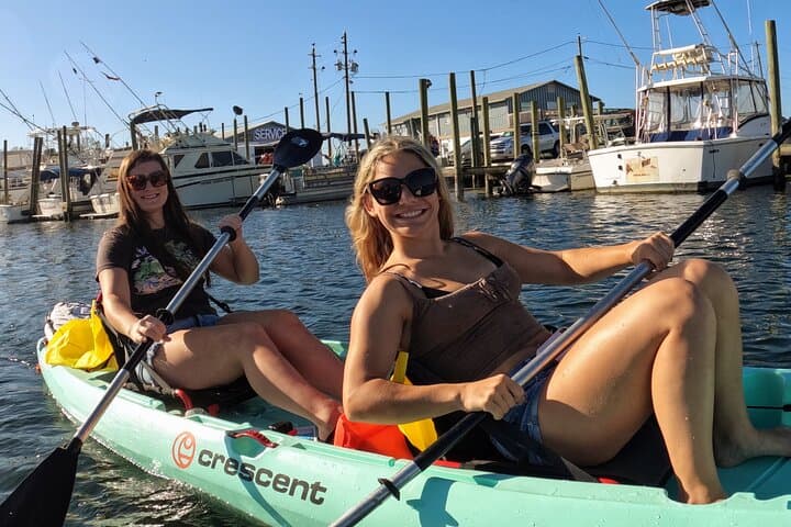 Kings Bay Double Kayak Rental: Manatee-Viewing & Springs Paddle in Crystal River photo 3