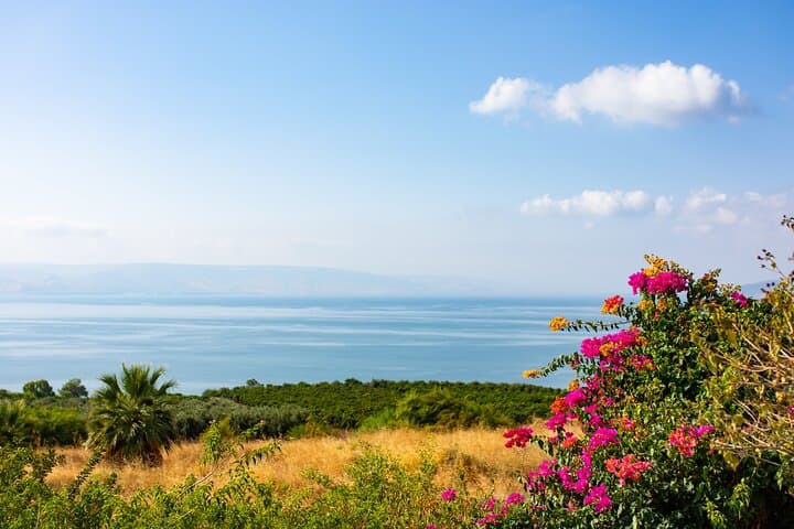 Galilee Full Day Tour from Jerusalem: Sea of Galilee, Nazareth & Olive Grove