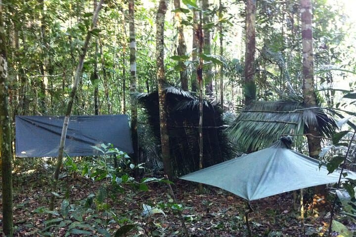 Overnight Jungle Survival: Dinner and Camping Near Manaus photo 2