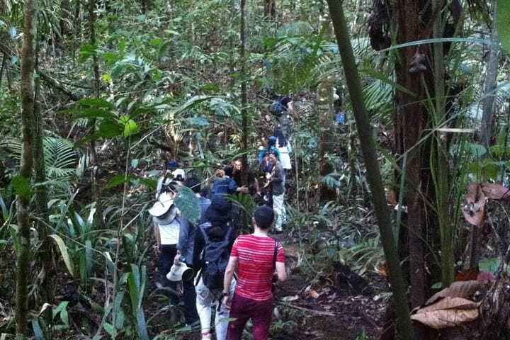 Overnight Jungle Survival: Dinner and Camping Near Manaus photo 5
