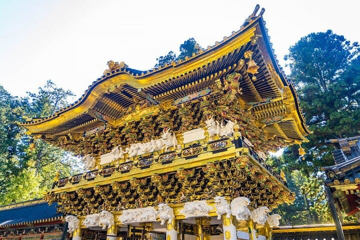Private Luxury Van from Tokyo to Nikko — Custom VIP Day Trip