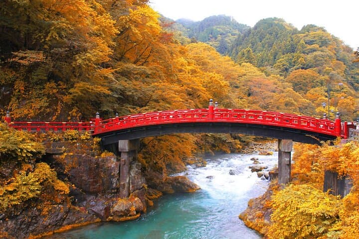 Private Luxury Van from Tokyo to Nikko — Custom VIP Day Trip photo 2