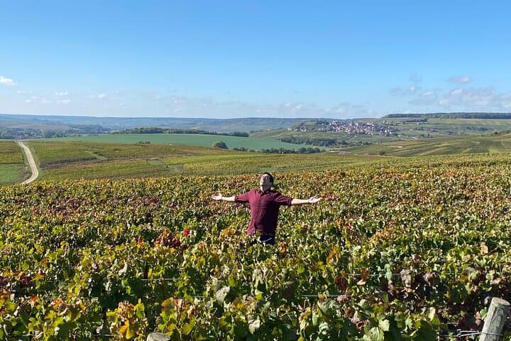 Champagne Cellars & Dom Perignon Vineyards Day Tour from Reims photo 5