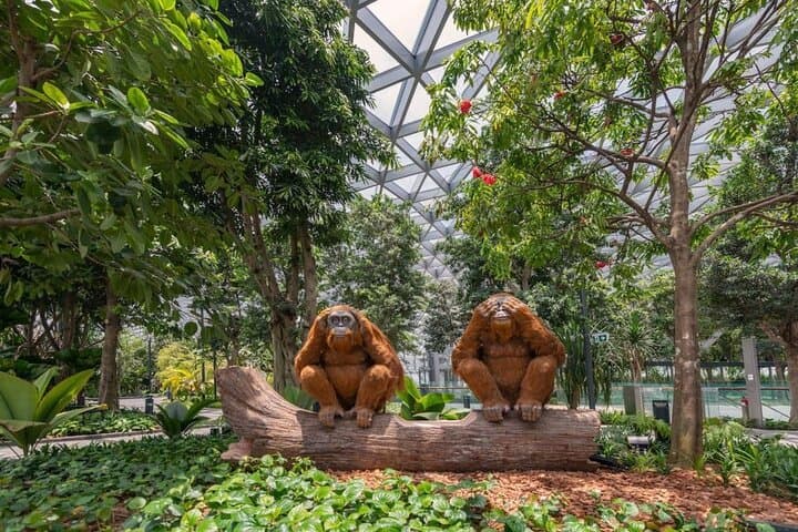 Jewel Changi Sky Nets & Canopy Park — Walking Net, Bouncing Net and the Rain Vortex Experience photo 4
