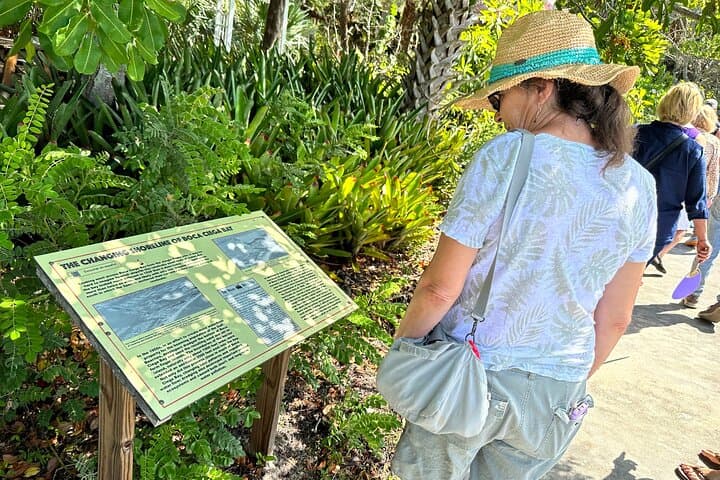 Exploring Jungle Prada: St. Petersburg’s Hidden Tocobaga Mound Tour photo 3