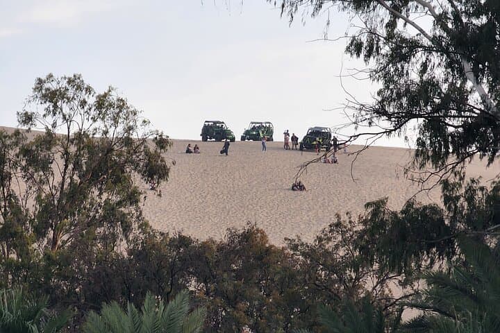 Coastal Peru Road Trip: 8-Day Lima to Nazca Cultural Immersion photo 6