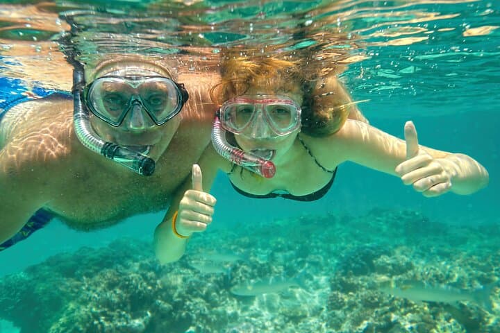 Maui Beach Shoreline Snorkel — 90-Min Reef Exploration