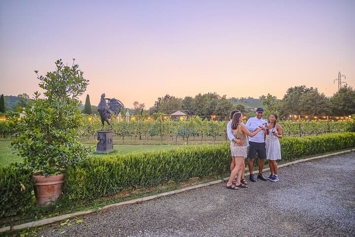 Chianti Vineyard Wine Tasting and Dinner: Semi-Private Tour from Florence photo 2