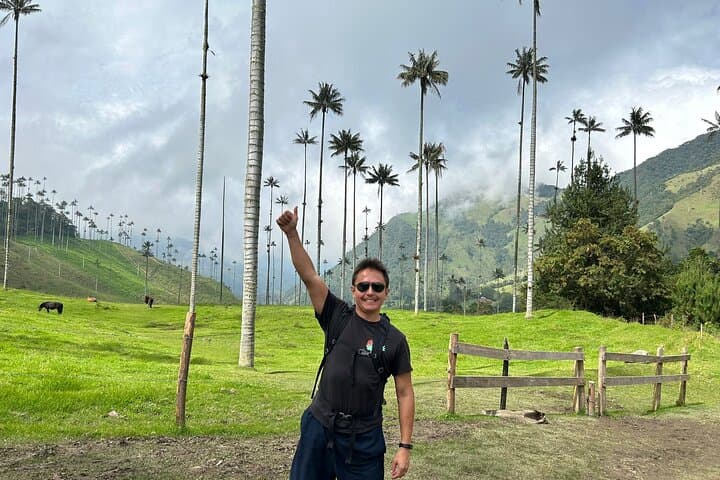 Half-Day Cocora Serenity: Hike the Wax Palm Valley from Salento photo 2