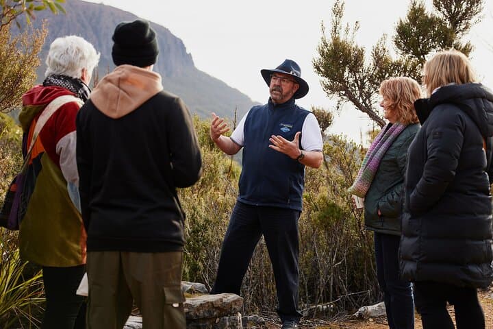 Kunanyi/Mt Wellington Ultimate Summit Tour from Hobart photo 5