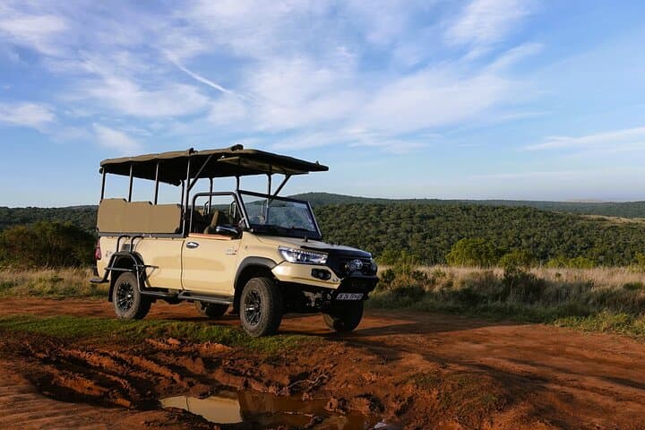 Full-Day Kruger Safari from Hazyview — Big Five in Southern Kruger