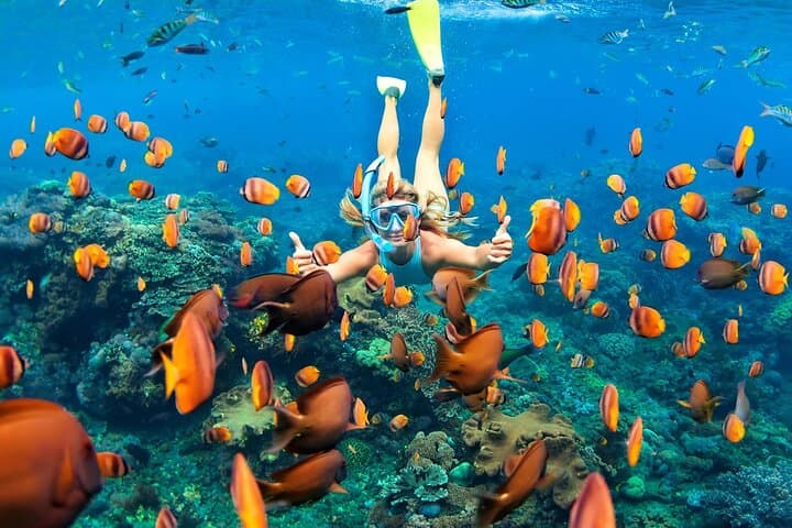 Tulum Day Trip: Ruins, Reef Snorkel & Hidden Cenote Swim photo 2