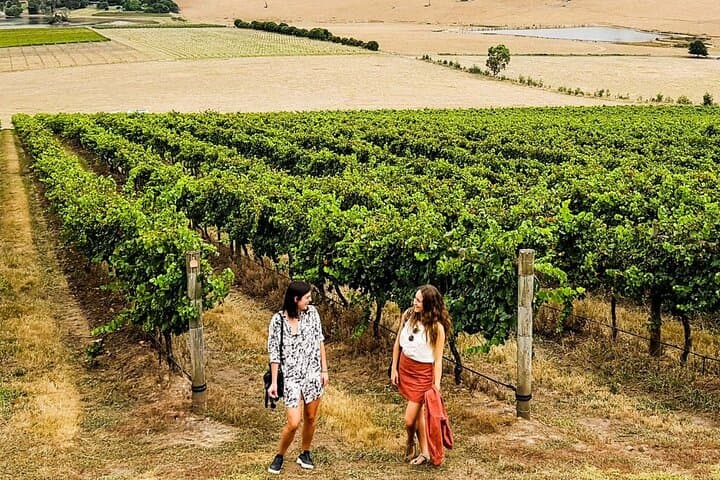 Midday Yarra Valley Wine Tasting — Relaxed Half‑Day Tour from Melbourne