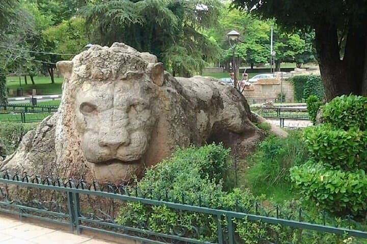 Middle Atlas Day Trip from Fez: Ifrane, Azrou & Cedar Forest photo 5
