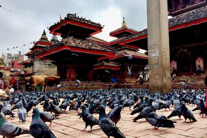 Kathmandu Walking Tour: Asan Bazaar, Durbar Square & Swayambhunath with a Local Guide photo 2