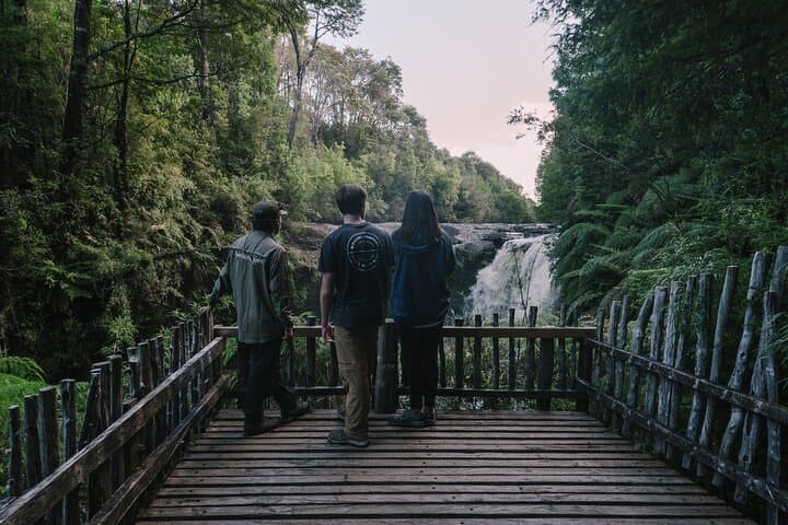Tepuhueico Park Private Excursion: Chiloé Hike to Waterfalls & Wildlife