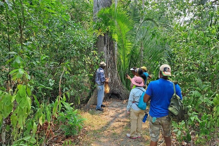 Howler Monkey Walk at Community Baboon Sanctuary — Belize Wildlife Tour photo 4