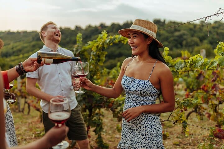 Private Swan Valley Wine Tour from Perth — 4-Winery Tasting Experience photo 4