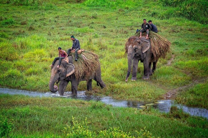 7-Day Nepal Adventure: Kathmandu, Chitwan & Pokhara Highlights photo 5
