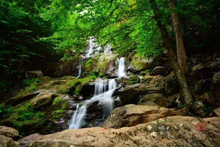 Self-Guided Skyline Drive Audio Tour — Shenandoah Road-Trip Guide photo 6