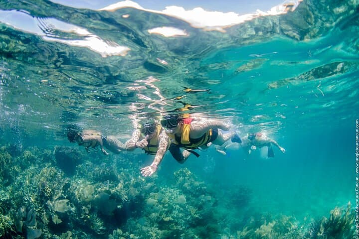 Punta Nizuc Speedboat and Snorkel Adventure from Cancun photo 6