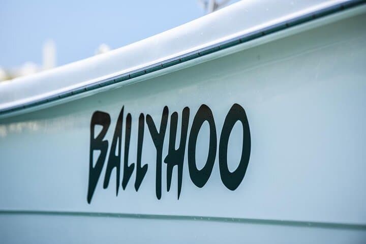 Private SCUBA Dive and Snorkel Charter in Puerto Rico — Shallow Reef Adventures photo 4