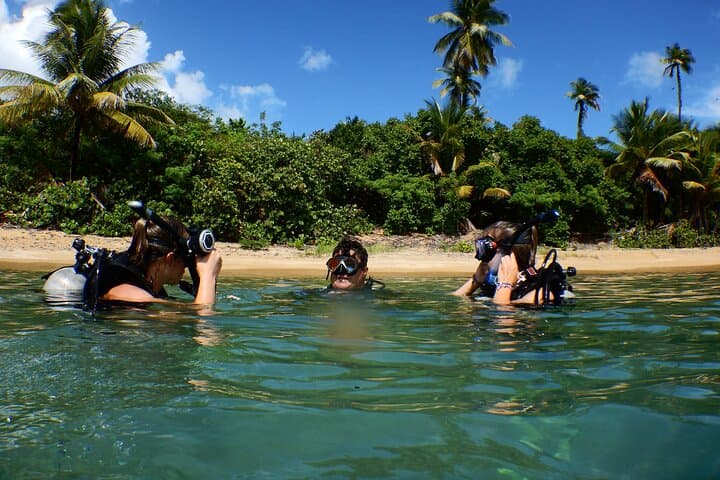 Private SCUBA Dive and Snorkel Charter in Puerto Rico — Shallow Reef Adventures photo 3