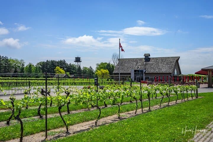 Private Half-Day Wine Tasting in Niagara-on-the-Lake: Customizable Luxury Tour