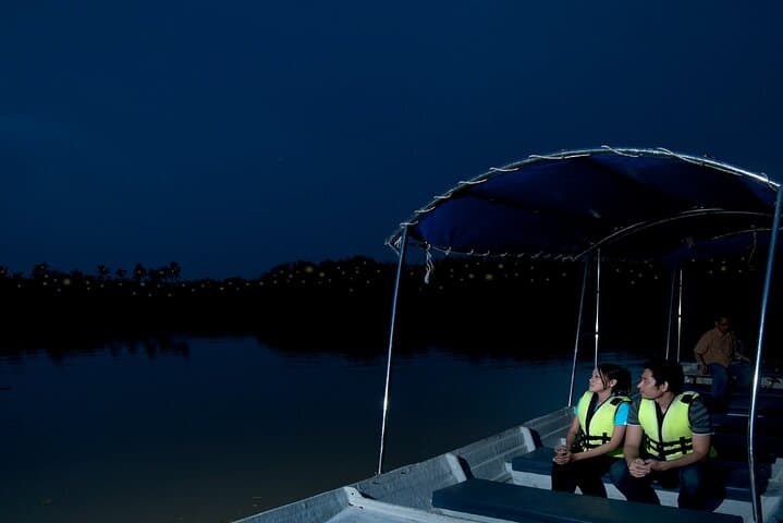 Kuala Selangor Fireflies Night Cruise with Seafood Dinner photo 3