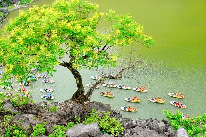 Ninh Binh Full-Day: Hoa Lu, Trang An Boat Ride & Mua Cave Viewpoint photo 5